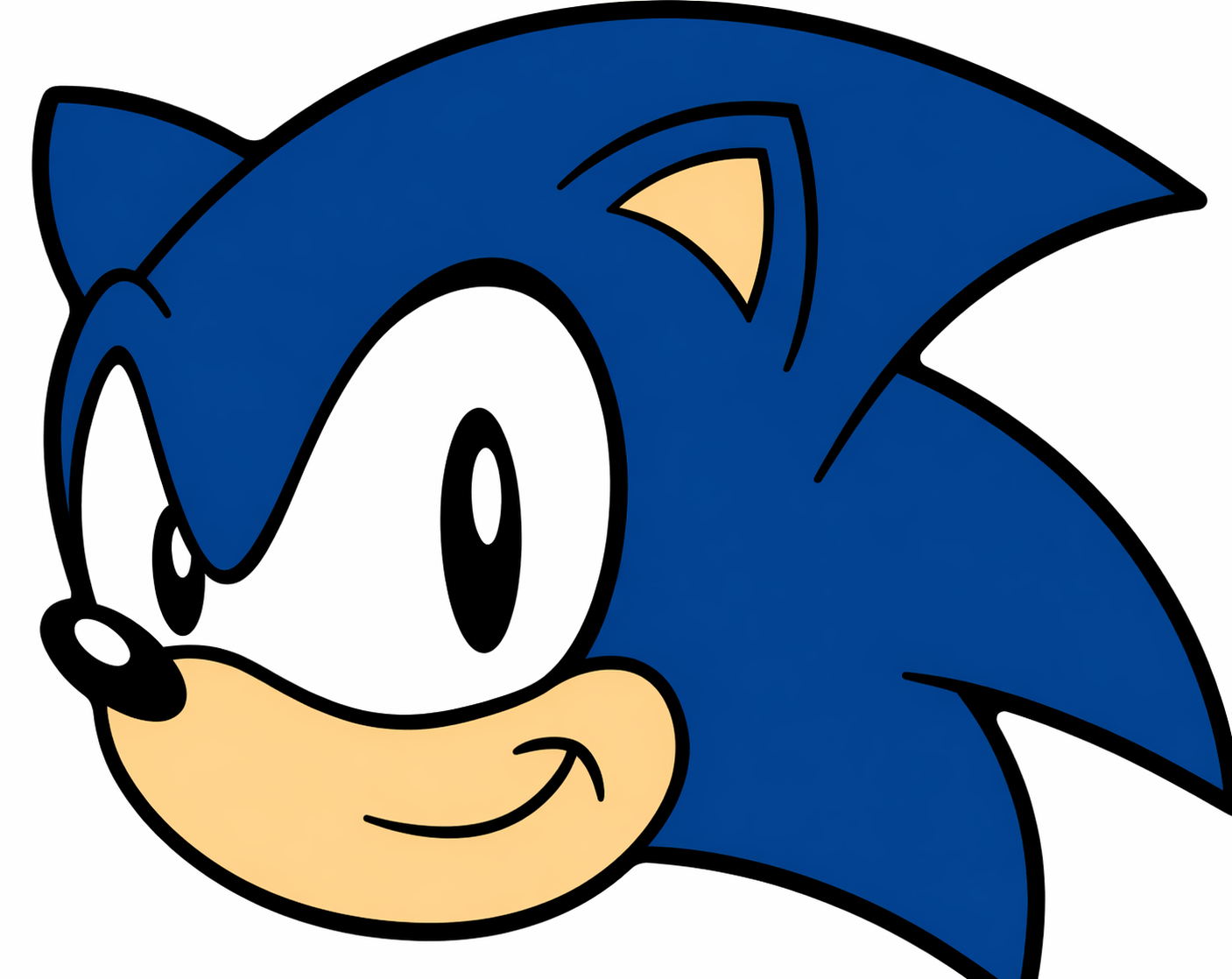 Sonic Rug